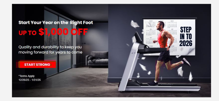 Landice New Year's sale promo